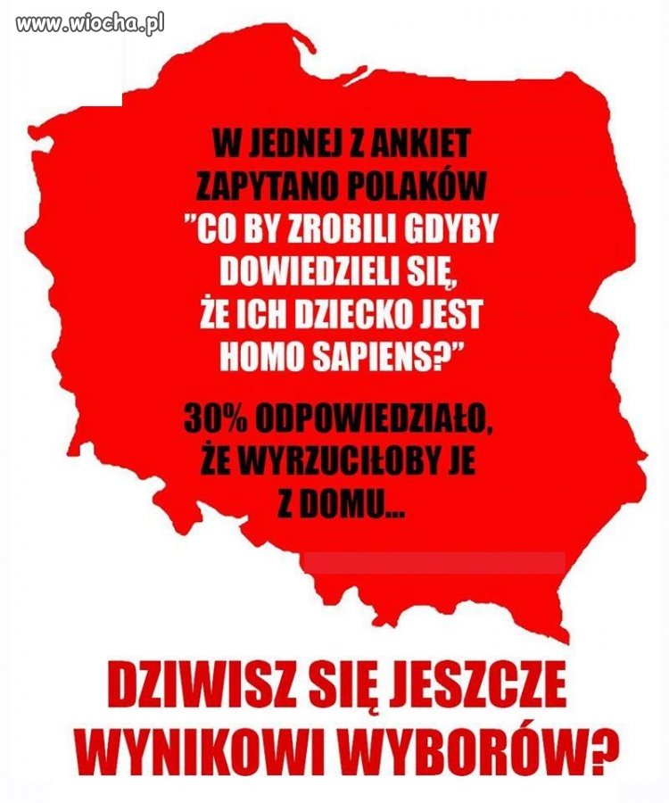 I wszystko...