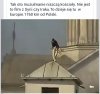 Czy kościół to widzi ? 