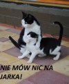 Taka sytuacja...