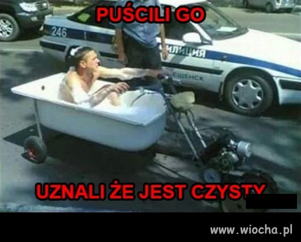 Puścili go