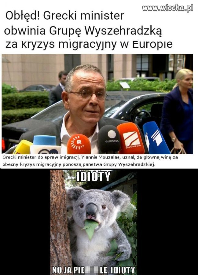 Grupa Wyszehradzka odpowiedzialna za kryzys