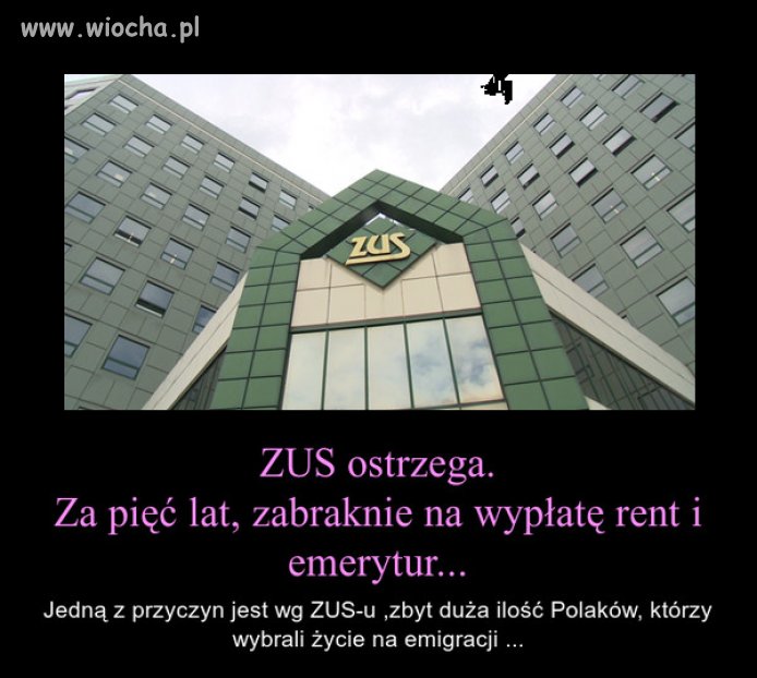 Co za chamstwo,