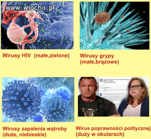 Odmiany wirusa.