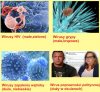 Odmiany wirusa.