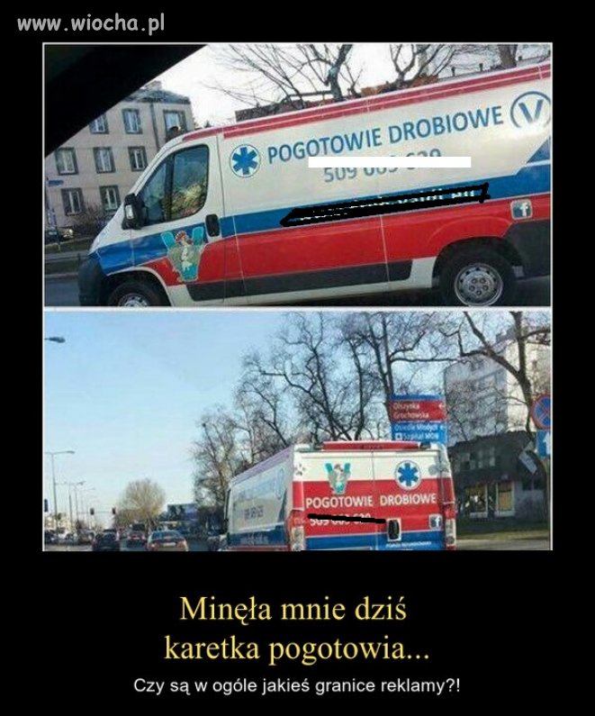 Pogotowie drobiowe 