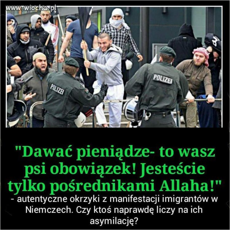 Takie tam, pokojowe okrzyki 