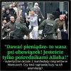 Takie tam, pokojowe okrzyki 