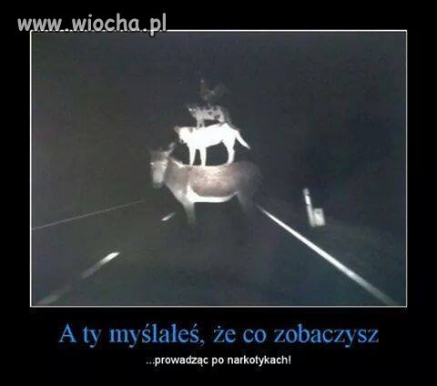 Brałeś ...