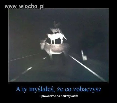 Brałeś ...
