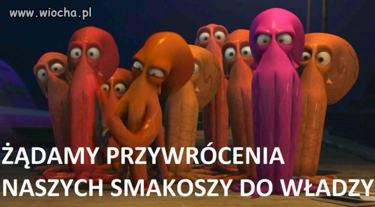 Ośmiorniczki 