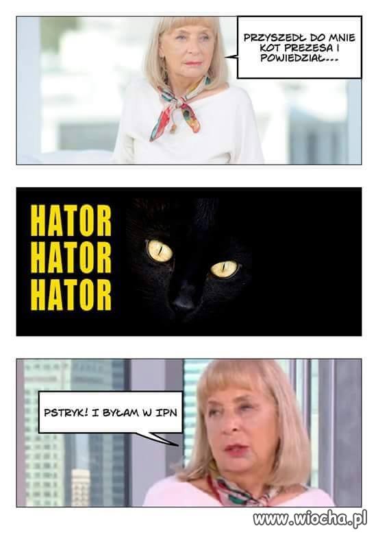 Już teraz wiadomo