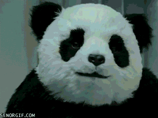 Bezlitosna panda