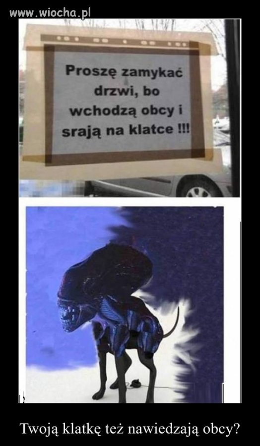 Obcy ósmy pasażer na klatce 