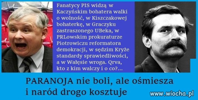 PAranoja nie boli.
