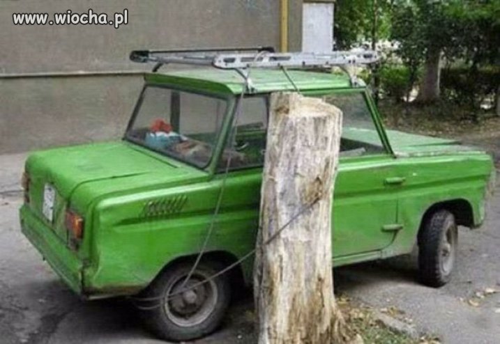 Mistrz zabezpieczenia