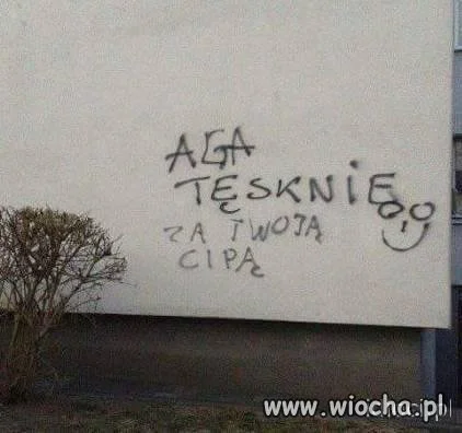 Wyznanie miłosne