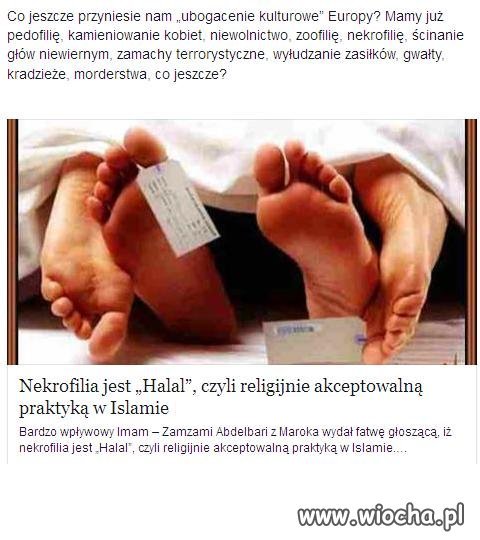 Nekrofilia jest Halal !