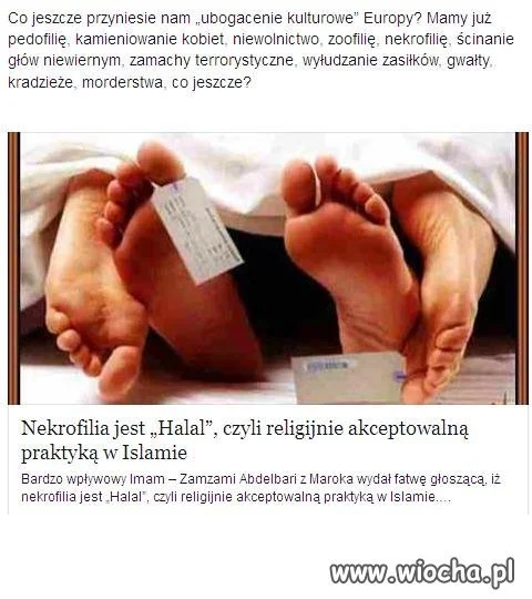 Nekrofilia jest Halal !