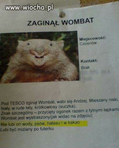 Oby się znalazł