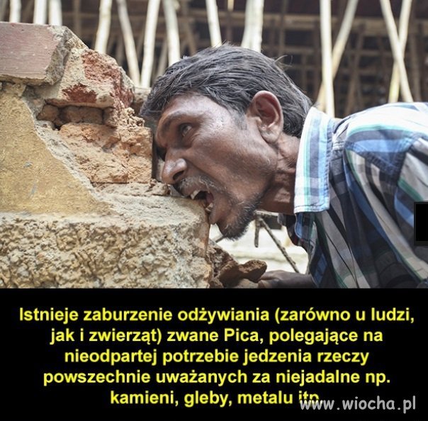 Głodnemu ... 