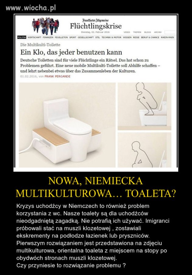 No to ciapki mają "kupę" do nauki