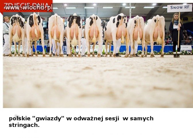 Samo życie