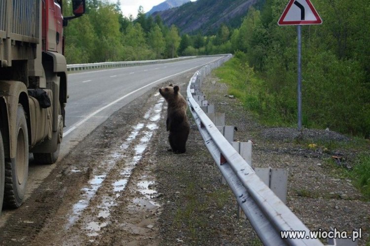 I jak tu nie zabrać  na stopa?