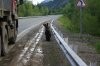 I jak tu nie zabrać  na stopa?
