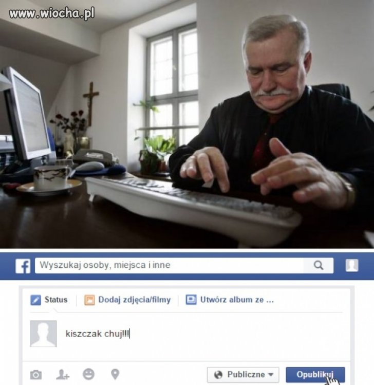 Bolek w sieci.