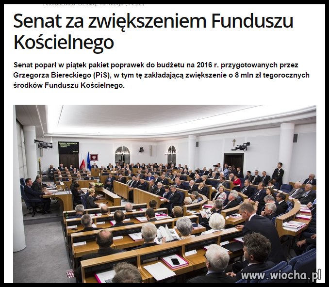 A nasi szejkowie cieszą się