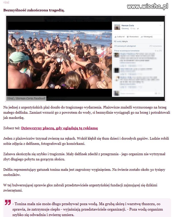 Głupota ludzka nie zna granic