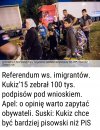 Zdanie Polaków