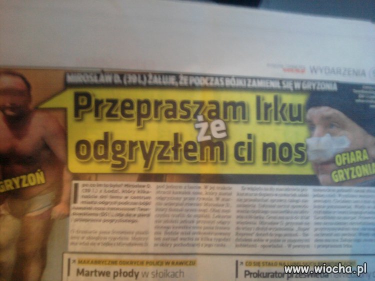 Gryzoń i jego przygody.