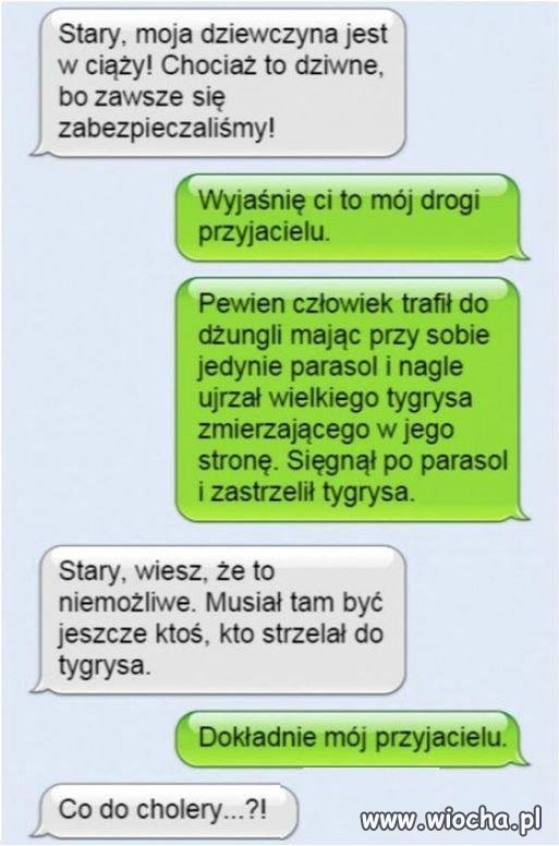 Tygrys i parasol