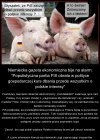 A może tak niemieckie media...