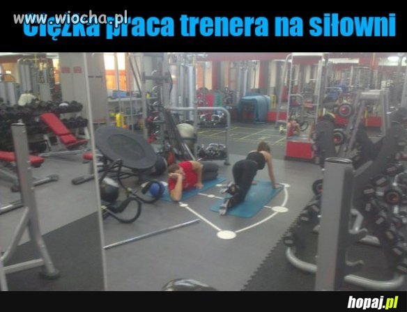 Ciężka praca polskich trenerów 