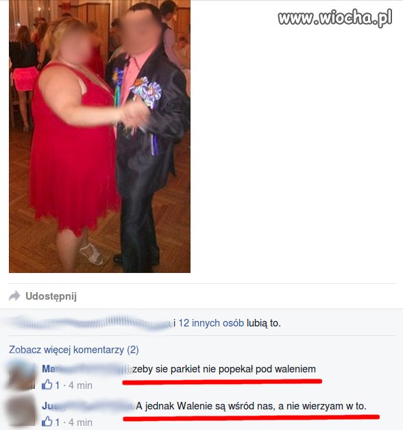 Urocza krytyka na fb...
