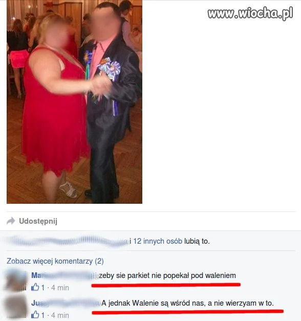 Urocza krytyka na fb...