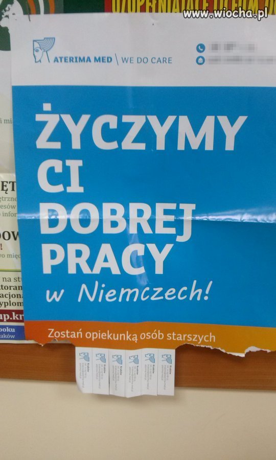 Takie tam życzenia 