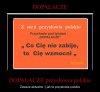 Dopalacze