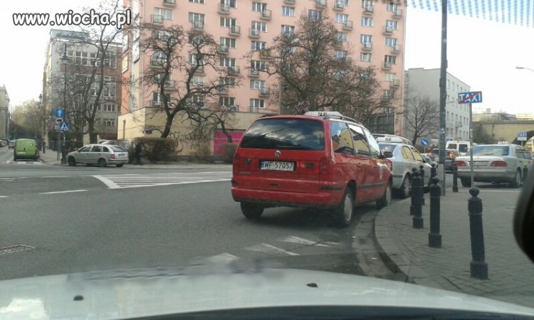 Święte krowy