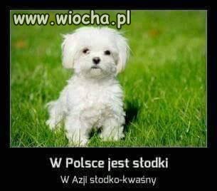 Smutne ale prawdziwe ...