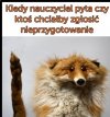 Strach w oczach