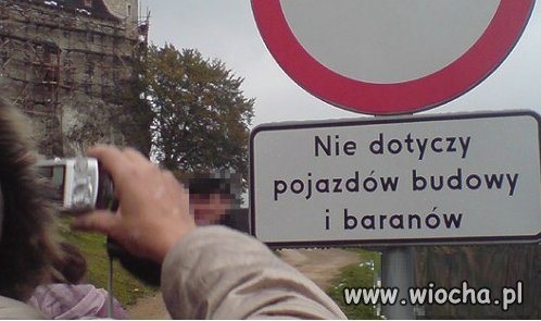 Może dlatego
