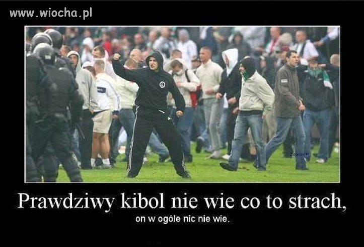 Chwała stadionowym patriotom!