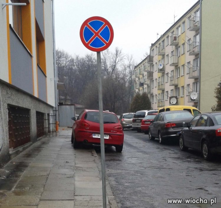Mistrz parkowania