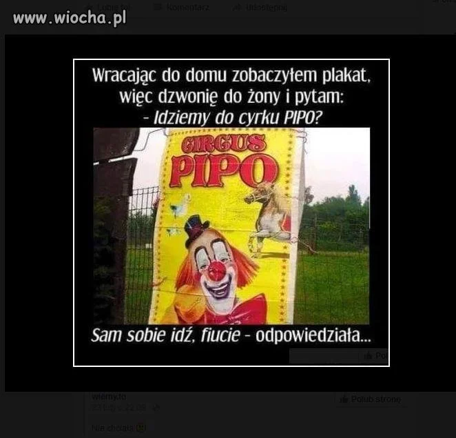 Idziesz do cyrku Pipo ?