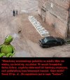 Taka piękna instalacja artystyczna za 40 tyś