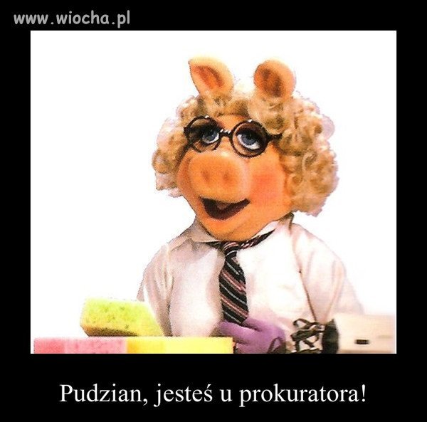 Lewacki kapuś.