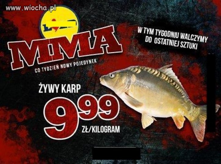 Nadal aktualne 